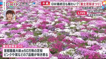 youtubeバラエティ無料 varietydouga.com -  めざまし8 動画　2024年5月6日