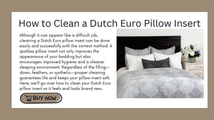 How to Clean a Dutch Euro Pillow Insert