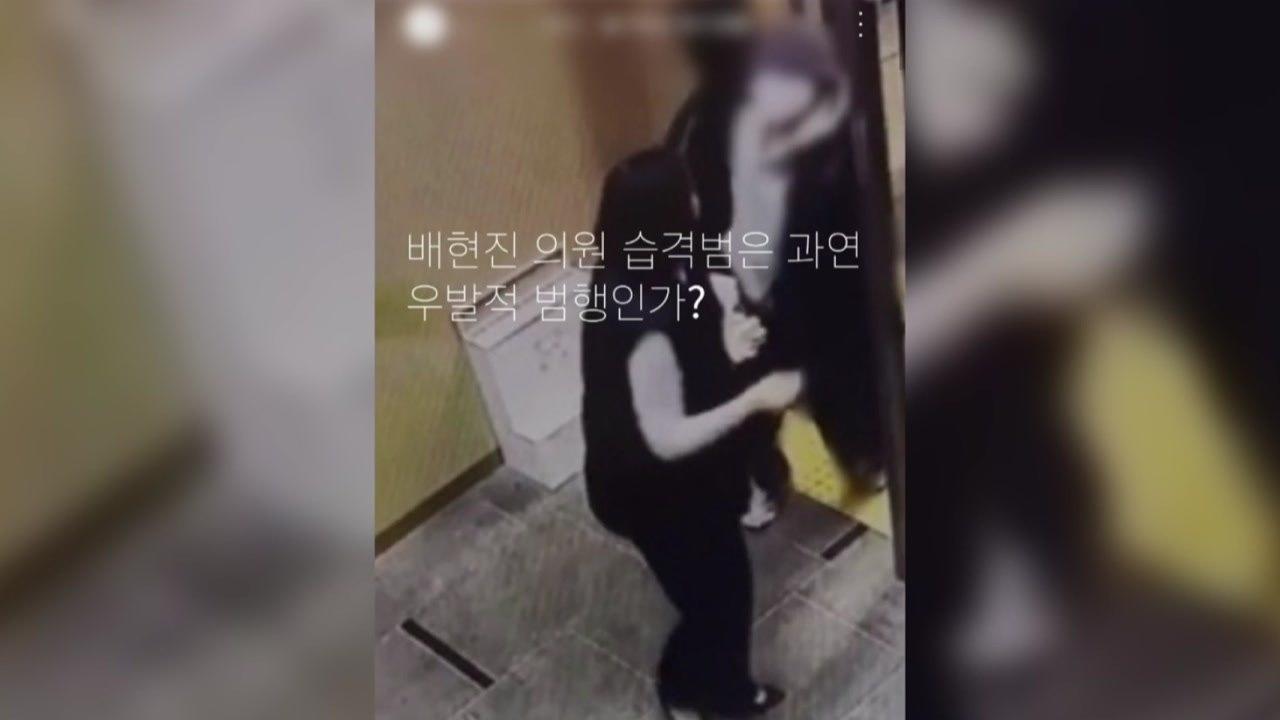 '배현진 피습 수사 게시글' 경찰관, 서울청에서 수사 / YTN