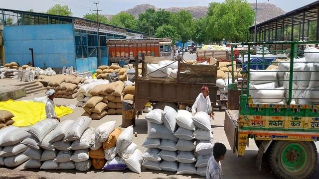 तपती धूप में खुले आसमान तले जिन्सों की हो रही तुलाई