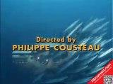 1968 The Undersea World of Jacques Cousteau S01E30 Beavers of the North Country
