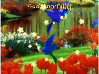 Good morning video | video for good morning well come| image collection 27