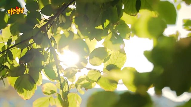 If Lee Sang Min & Seo Jang Hoon have kids, The Golden Girls, Lee Sang Min smelled like butter, Lee Soo Geun's annoying face