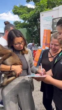 Janja e Lula da Silva adotam cadela resgatada das cheias no Brasil