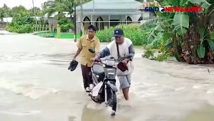 6 Kecamatan di Kabupaten Wajo Terendam Banjir, Begini Situasinya