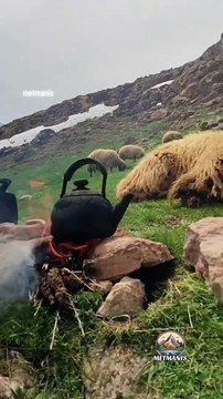 VAN GEVAŞ İLİH KÖYÜ