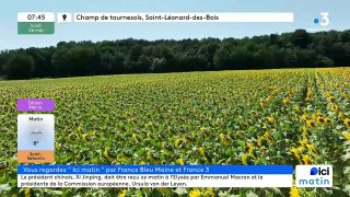 06/05/2024 - Le 6/9 de France Bleu Maine en vidéo