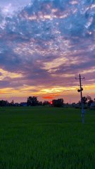 Good thing will come as promised in this mid summer