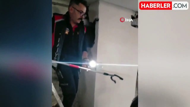 Havalandırmada mahsur kalan anne kedi ve yavrularını itfaiye ekipleri kurtardı