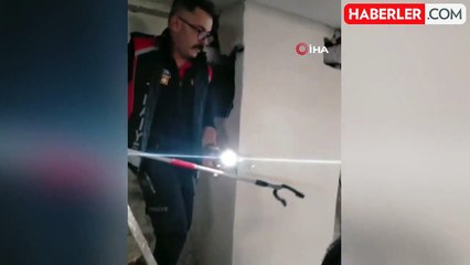 Havalandırmada mahsur kalan anne kedi ve yavrularını itfaiye ekipleri kurtardı
