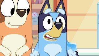 Official Trailer Bluey