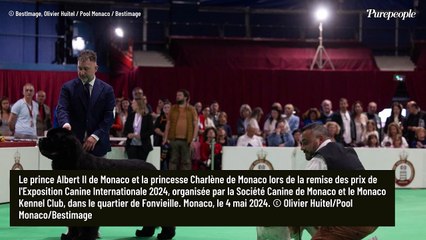 Albert et Charlène de Monaco : Regards tendres et caresses, le couple rayonne au milieu de stars très particulières