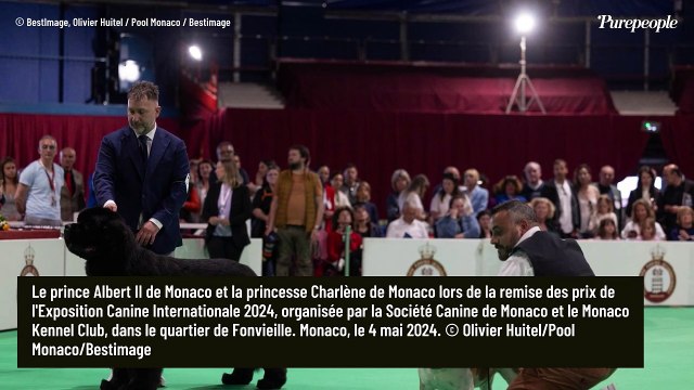 Albert et Charlène de Monaco : Regards tendres et caresses, le couple rayonne au milieu de stars très particulières