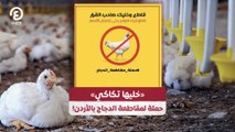 !خليها تكاكي» حملة لمقاطعة الدجاج بالأردن»