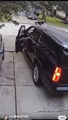 A man closed his car's door on a poor cat's leg and it screamed