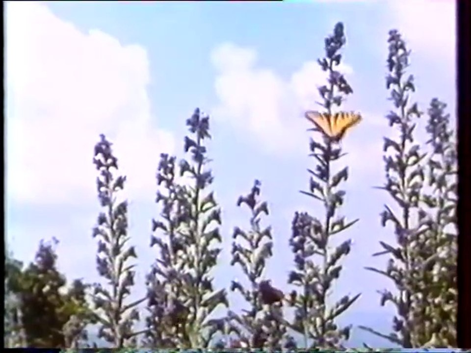 De la création - (ancien doc)