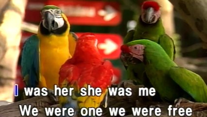 SHE'S THE ONE — MADE POPULAR BY ROBBIE WILLIAMS | TOP HIT ON US / BILLBOARD CHART