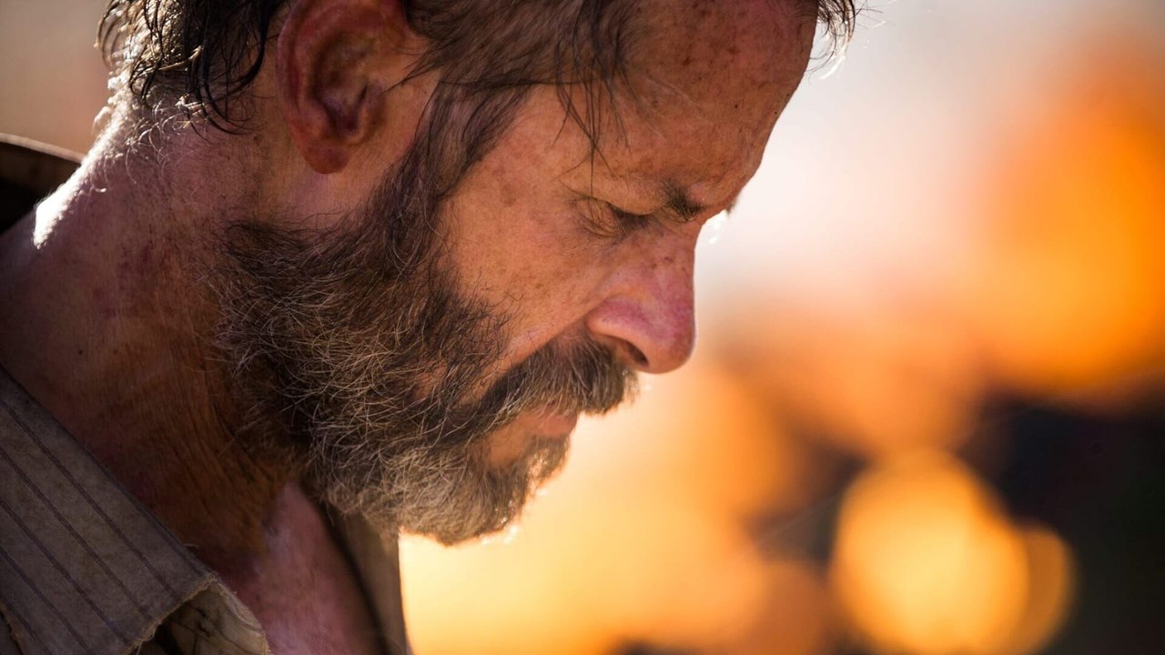 The Rover