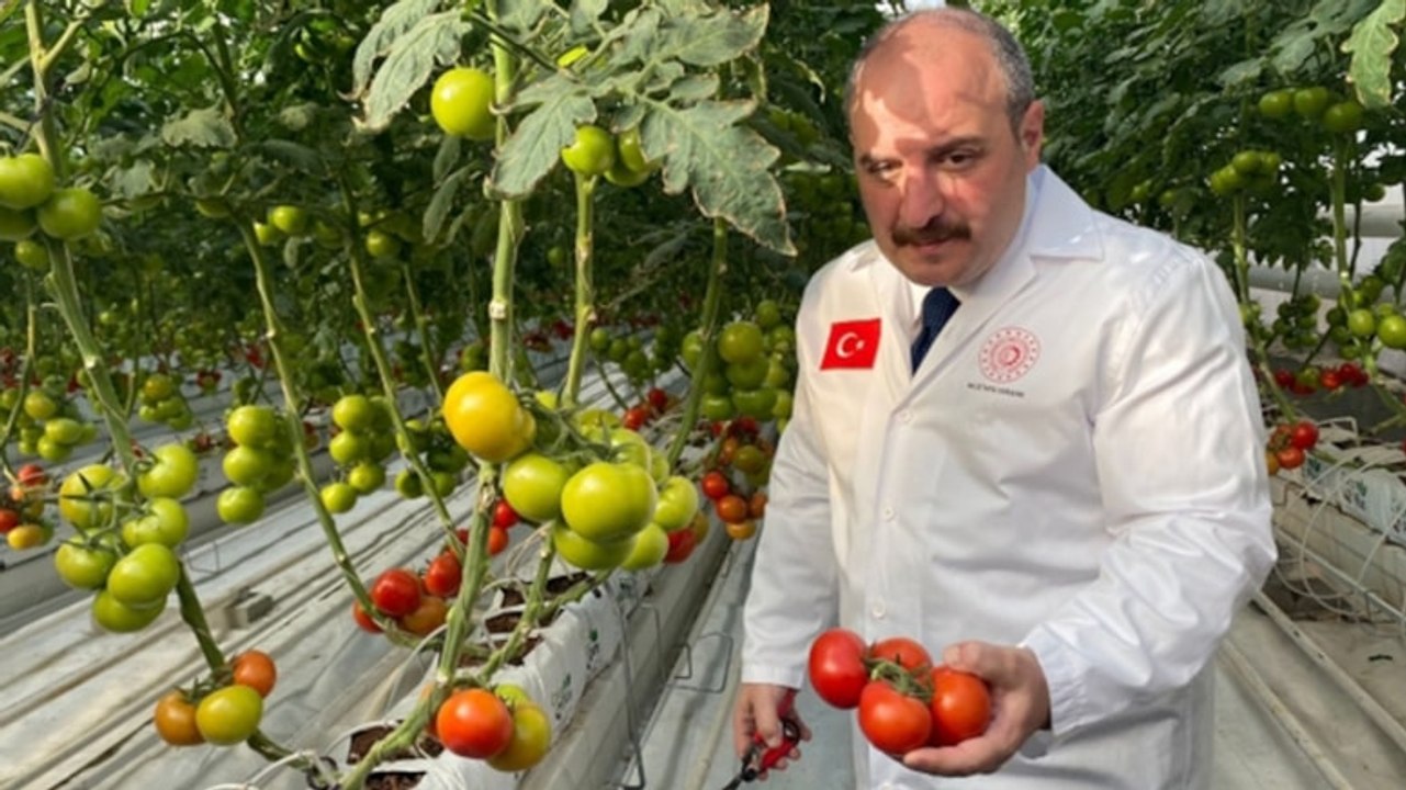 Erzurum'a Akdeniz serası... Günde üç ton kömür yakılmış