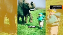 Uskomaton video tallentaa, kuinka elefantti leikkii, suojaa ja jopa pesee ihmisen