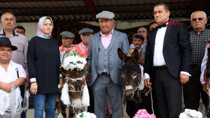 'Nesli tükenmesin' diyerek eşeklere sembolik nikah kıydılar