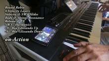 Korg Pa5X-4Χ Premium DNC Articulation