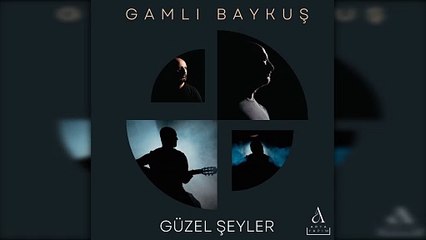 Gamlı Baykuş - Gece