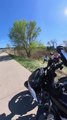 Man Falls in Bushes While Attempting Wheelie on Bike