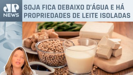 Catástrofe no RS: produção de soja e leite deve cair