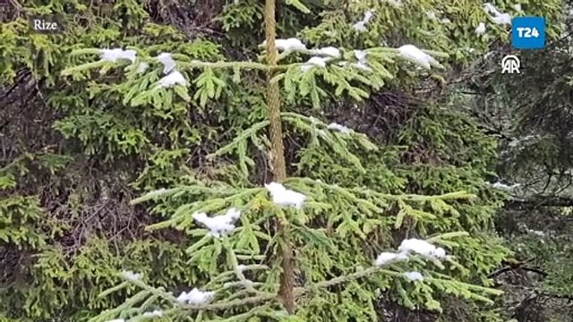 Mayıs ayında kar: Yurdun çeşitli bölgeleri kar yağışıyla birlikte beyaza büründü