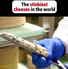 Voici comment le fromage bleu est fabriqué, vous risquez de ne plus en manger !