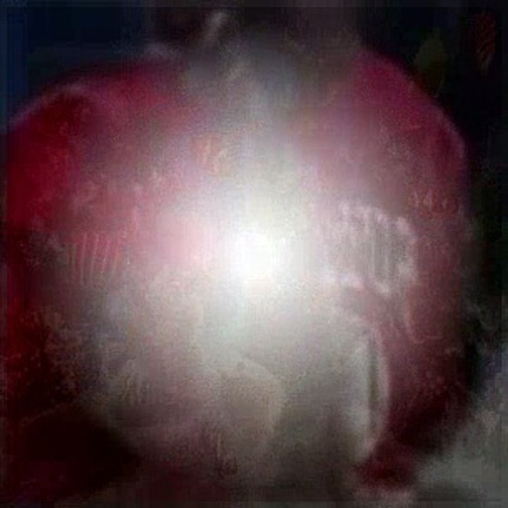 Bella and the Bulldogs Season 1 Episode 5 Tex Fest