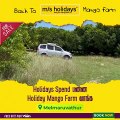 Mango Farm Land | Mango Farm Land for Sale  - M/S Holiday Farms