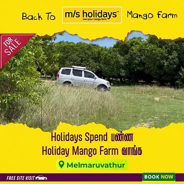 Mango Farm Land | Mango Farm Land for Sale - M/S Holiday Farms
