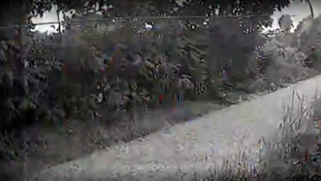 VÍDEO: Motorista é assassinado a tiros por dupla em moto no interior