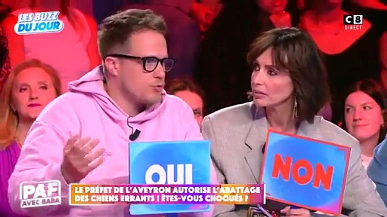 Le Préfet de l’Aveyron autorise l’abattage des chiens errants : Guillaume Genton réagit "PAF avec Baba" - VIDEO