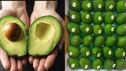 Avocado Itna Mehnga Kyun Hai | Avocado 1 Kg Price Reveal | Avocado Benefits | Boldsky