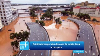 Brésil submergé : des dizaines de morts dans la tempête