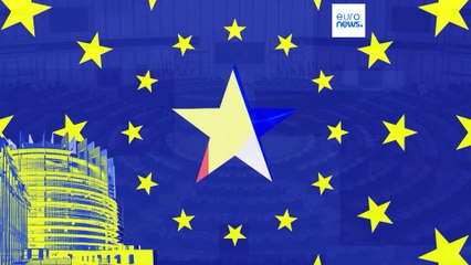 ¿Qué haría si yo fuera eurodiputado... respecto a la agricultura?