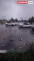 İran yaşanan şiddetli yağış esnasında gökten canlı balık yağdı yağdı