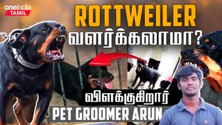 Rottweiler குணமே அப்படிதான்!!! - Pet Groomer Arun | Chennai | Dog | Oneindia Tamil