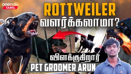 Rottweiler குணமே அப்படிதான்!!! - Pet Groomer Arun | Chennai | Dog | Oneindia Tamil