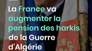 La France va augmenter la pension des harkis de la Guerre d'Algérie