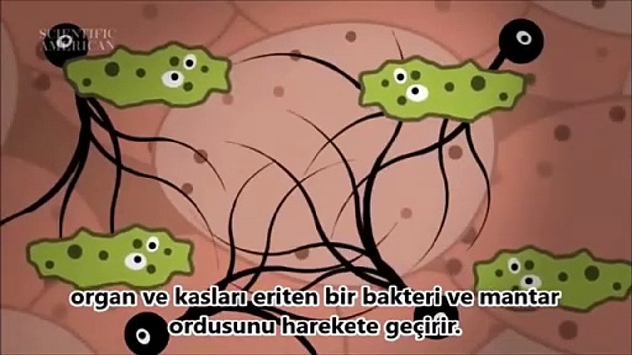 Öldükten Sonra Bedenimiz