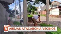 Niños alborotaron a un enjambre de abejas en la calle