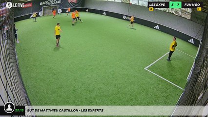 But de matthieu castillon - LES EXPERTS