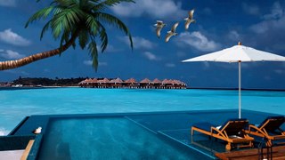 Maldives Island Luxury Resort | Relaxation Poolside