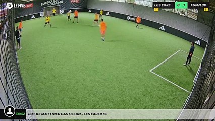 But de matthieu castillon - LES EXPERTS