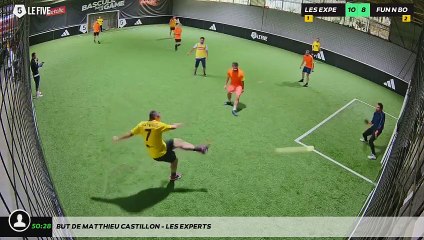 But de matthieu castillon - LES EXPERTS
