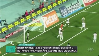 Denílson questiona atuação do VAR em Botafogo 1 x 2 Bahia: ‘Achei mesma linha’